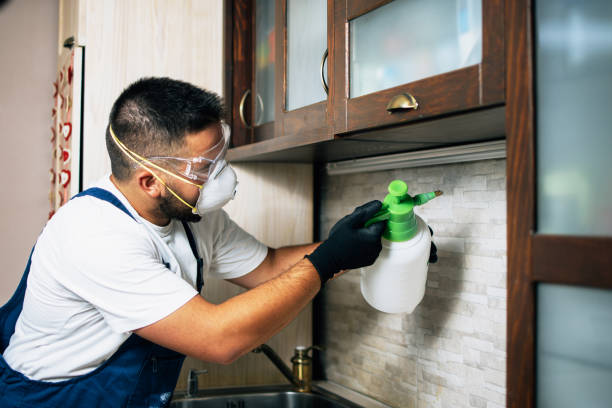 Best Pest Removal Services  in Lagrange, GA
