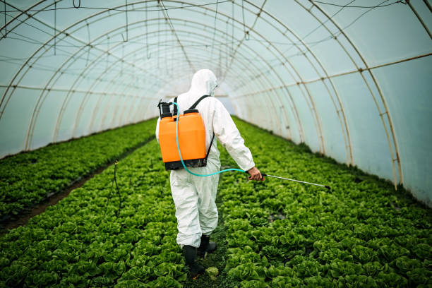 Best Best Pest Control Companies  in Lagrange, GA