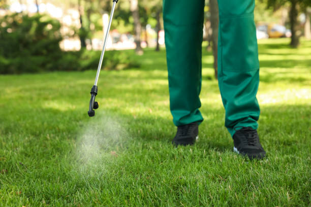 Best Wasp Removal Services  in Lagrange, GA